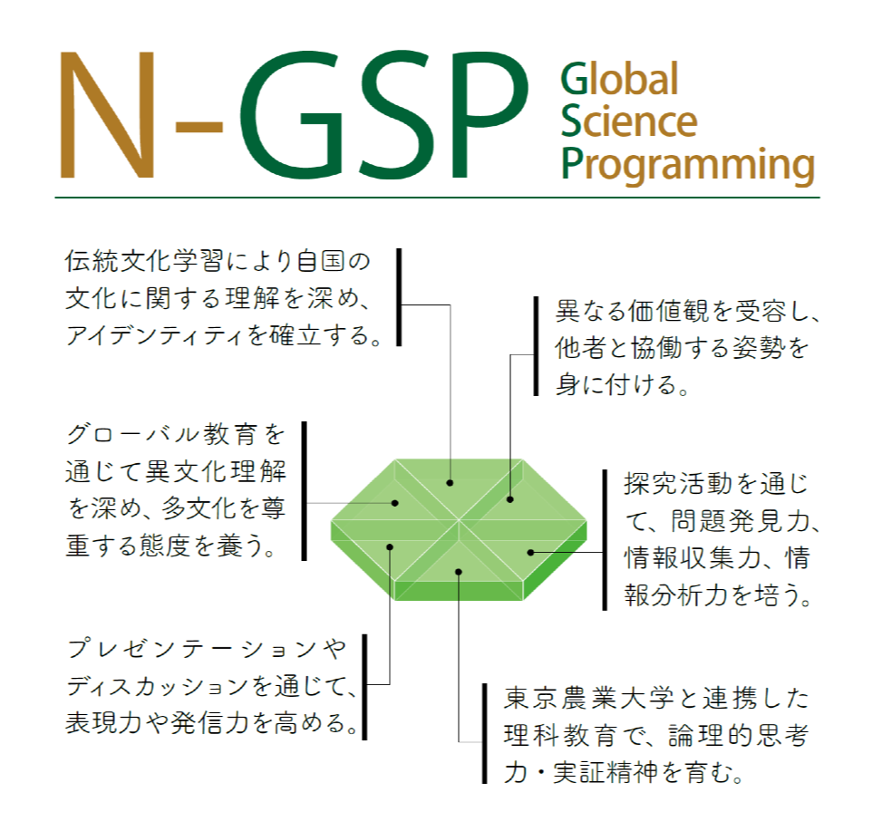 N-GSP